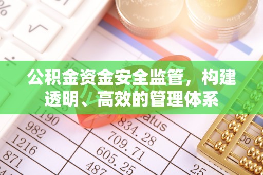 汉阳公积金资金安全监管，构建透明、高效的管理体系