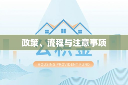 汉阳政策、流程与注意事项