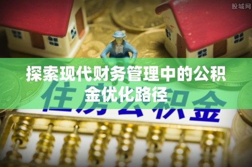 汉阳探索现代财务管理中的公积金优化路径
