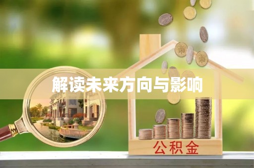 汉阳解读未来方向与影响