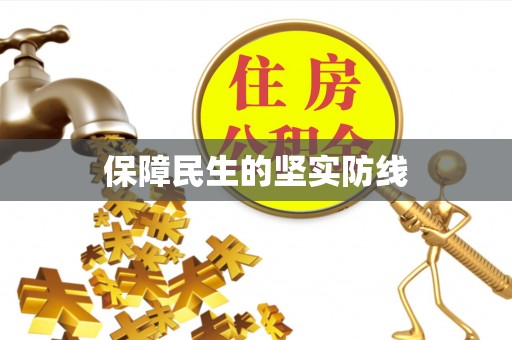 汉阳保障民生的坚实防线