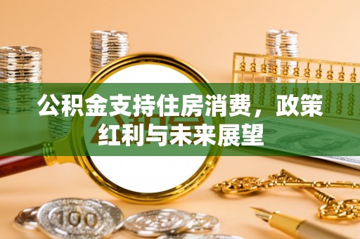 汉阳公积金支持住房消费，政策红利与未来展望