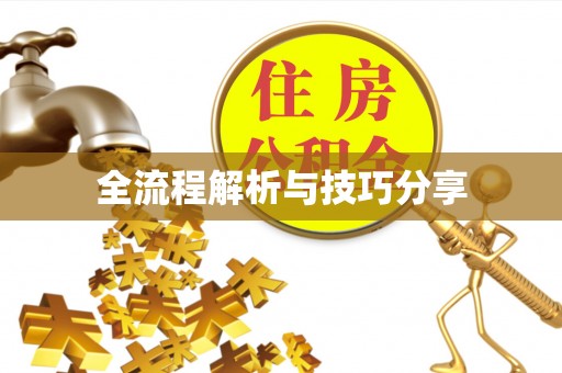 汉阳全流程解析与技巧分享